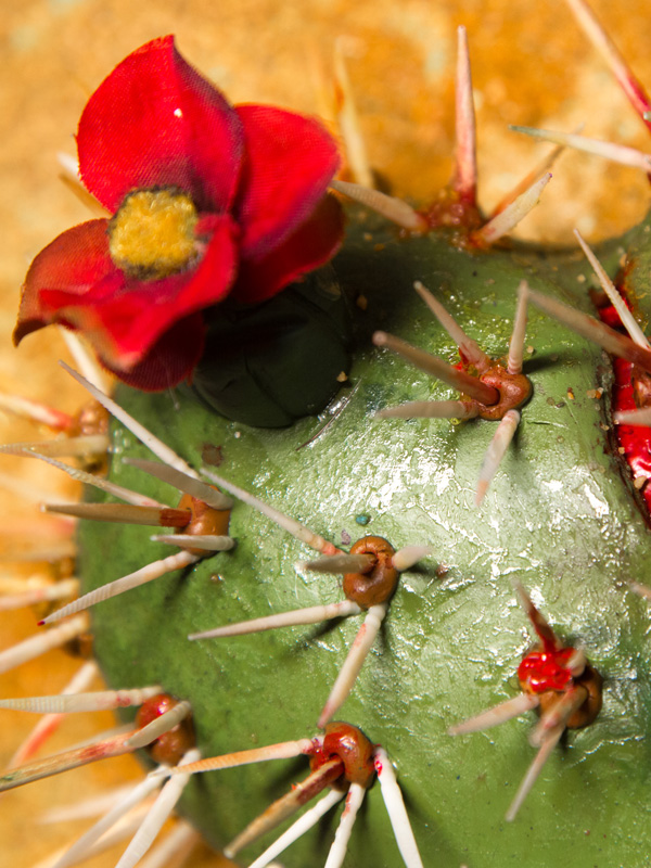 Prickly 1